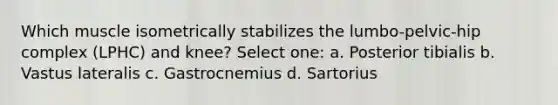 Which muscle isometrically stabilizes the lumbo-pelvic-hip complex (LPHC) and knee? Select one: a. Posterior tibialis b. Vastus lateralis c. Gastrocnemius d. Sartorius