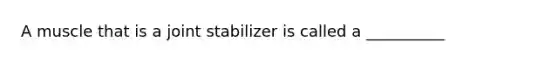 A muscle that is a joint stabilizer is called a __________