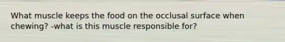 What muscle keeps the food on the occlusal surface when chewing? -what is this muscle responsible for?