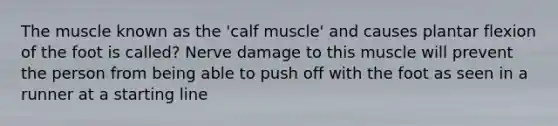 The muscle known as the 'calf muscle' and causes plantar flexion of the foot is called? Nerve damage to this muscle will prevent the person from being able to push off with the foot as seen in a runner at a starting line