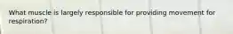 What muscle is largely responsible for providing movement for respiration?