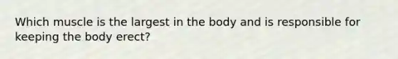 Which muscle is the largest in the body and is responsible for keeping the body erect?