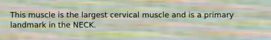 This muscle is the largest cervical muscle and is a primary landmark in the NECK.