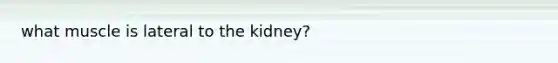 what muscle is lateral to the kidney?