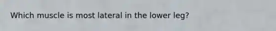 Which muscle is most lateral in the lower leg?