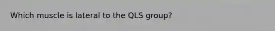 Which muscle is lateral to the QLS group?