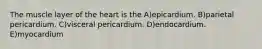 The muscle layer of the heart is the A)epicardium. B)parietal pericardium. C)visceral pericardium. D)endocardium. E)myocardium