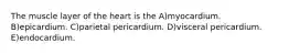 The muscle layer of the heart is the A)myocardium. B)epicardium. C)parietal pericardium. D)visceral pericardium. E)endocardium.