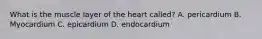 What is the muscle layer of the heart called? A. pericardium B. Myocardium C. epicardium D. endocardium