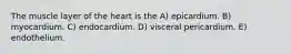 The muscle layer of the heart is the A) epicardium. B) myocardium. C) endocardium. D) visceral pericardium. E) endothelium.