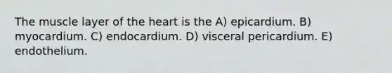 The muscle layer of the heart is the A) epicardium. B) myocardium. C) endocardium. D) visceral pericardium. E) endothelium.