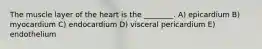 The muscle layer of the heart is the ________. A) epicardium B) myocardium C) endocardium D) visceral pericardium E) endothelium