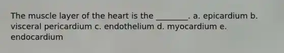 The muscle layer of the heart is the ________. a. epicardium b. visceral pericardium c. endothelium d. myocardium e. endocardium