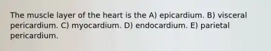 The muscle layer of the heart is the A) epicardium. B) visceral pericardium. C) myocardium. D) endocardium. E) parietal pericardium.