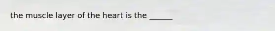 the muscle layer of the heart is the ______