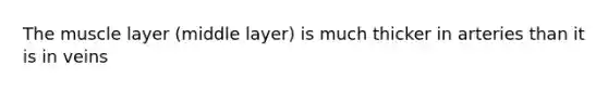 The muscle layer (middle layer) is much thicker in arteries than it is in veins