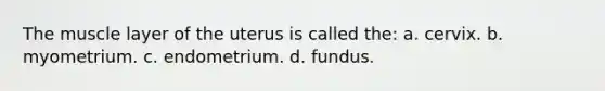 The muscle layer of the uterus is called the: a. cervix. b. myometrium. c. endometrium. d. fundus.