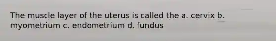 The muscle layer of the uterus is called the a. cervix b. myometrium c. endometrium d. fundus