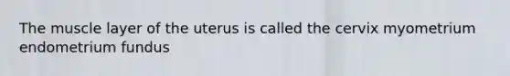 The muscle layer of the uterus is called the cervix myometrium endometrium fundus