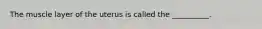 The muscle layer of the uterus is called the __________.