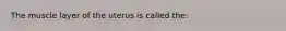 The muscle layer of the uterus is called the: