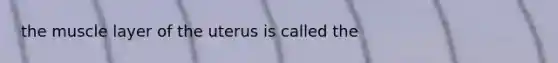 the muscle layer of the uterus is called the