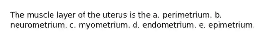 The muscle layer of the uterus is the a. perimetrium. b. neurometrium. c. myometrium. d. endometrium. e. epimetrium.