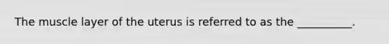 The muscle layer of the uterus is referred to as the __________.