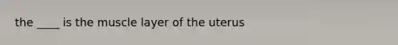 the ____ is the muscle layer of the uterus