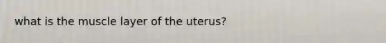 what is the muscle layer of the uterus?