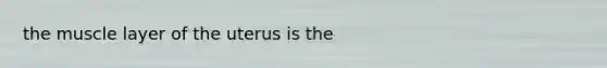 the muscle layer of the uterus is the