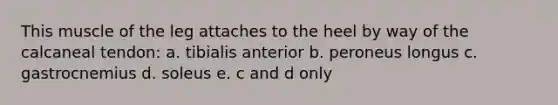 This muscle of the leg attaches to the heel by way of the calcaneal tendon: a. tibialis anterior b. peroneus longus c. gastrocnemius d. soleus e. c and d only