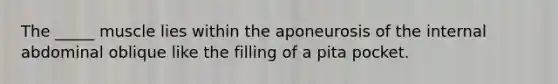 The _____ muscle lies within the aponeurosis of the internal abdominal oblique like the filling of a pita pocket.