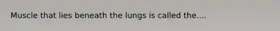 Muscle that lies beneath the lungs is called the....