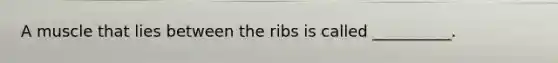 A muscle that lies between the ribs is called __________.