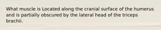 What muscle is Located along the cranial surface of the humerus and is partially obscured by the lateral head of the triceps brachii.