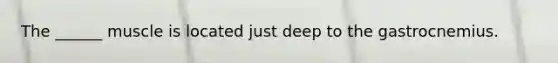 The ______ muscle is located just deep to the gastrocnemius.