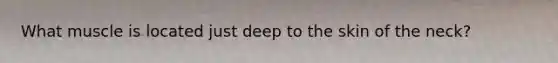 What muscle is located just deep to the skin of the neck?