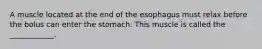 A muscle located at the end of the esophagus must relax before the bolus can enter the stomach. This muscle is called the ____________.