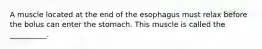 A muscle located at the end of the esophagus must relax before the bolus can enter the stomach. This muscle is called the __________.