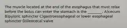 The muscle located at the end of the esophagus that must relax before the bolus can enter the stomach is the ________. A)cecum B)pyloric sphincter C)gastroesophageal or lower esophageal sphincter D)ileocecal valve