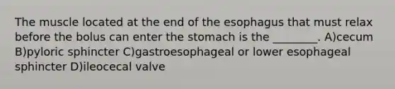 The muscle located at the end of the esophagus that must relax before the bolus can enter the stomach is the ________. A)cecum B)pyloric sphincter C)gastroesophageal or lower esophageal sphincter D)ileocecal valve