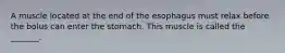 A muscle located at the end of the esophagus must relax before the bolus can enter the stomach. This muscle is called the _______.