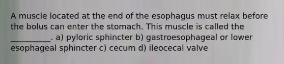 A muscle located at the end of the esophagus must relax before the bolus can enter the stomach. This muscle is called the __________. a) pyloric sphincter b) gastroesophageal or lower esophageal sphincter c) cecum d) ileocecal valve