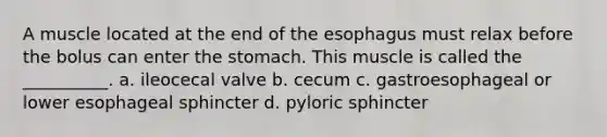 A muscle located at the end of <a href='https://www.questionai.com/knowledge/kSjVhaa9qF-the-esophagus' class='anchor-knowledge'>the esophagus</a> must relax before the bolus can enter <a href='https://www.questionai.com/knowledge/kLccSGjkt8-the-stomach' class='anchor-knowledge'>the stomach</a>. This muscle is called the __________. a. ileocecal valve b. cecum c. gastroesophageal or lower esophageal sphincter d. pyloric sphincter