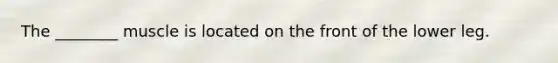 The ________ muscle is located on the front of the lower leg.