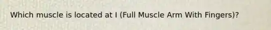 Which muscle is located at I (Full Muscle Arm With Fingers)?