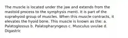 The muscle is located under the jaw and extends from the mastoid process to the symphysis menti. It is part of the suprahyoid group of muscles. When this muscle contracts, it elevates the hyoid bone. This muscle is known as the: a. Palatoglossus b. Palatopharyngeus c. Musculus uvulae d. Digastric