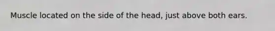 Muscle located on the side of the head, just above both ears.