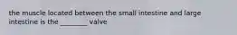 the muscle located between the small intestine and large intestine is the ________ valve